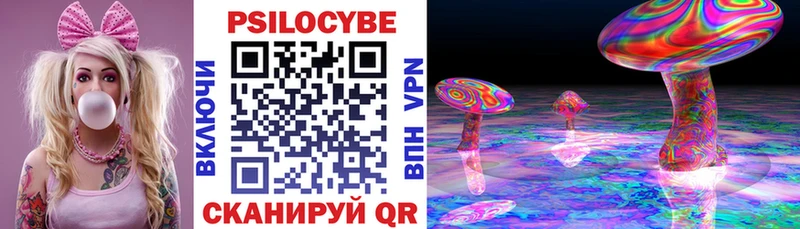 Псилоцибиновые грибы Cubensis Новая Усмань